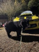 Превью фото № 248011