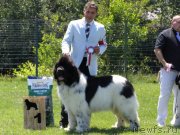 Превью фото № 248015