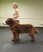 Превью фото № 248018