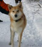 Превью фото № 24802