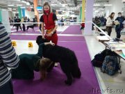 Превью фото № 248064