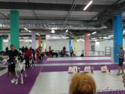 Превью фото № 248070