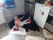 Превью фото № 248129