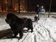 Превью фото № 248134