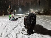 Превью фото № 248135