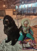 Превью фото № 248137