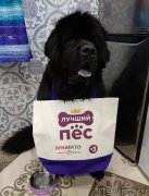 Превью фото № 248142