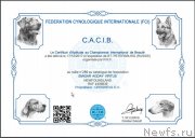 Превью фото № 248154