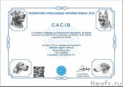 Превью фото № 248155