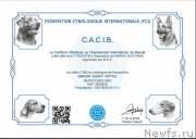 Превью фото № 248156