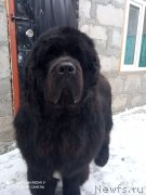 Превью фото № 248194