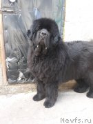 Превью фото № 248198