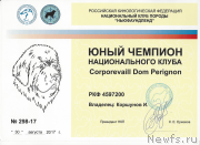 Превью фото № 248205