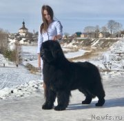 Превью фото № 248294