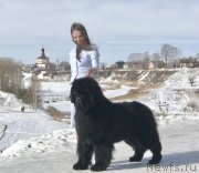 Превью фото № 248295