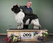 Превью фото № 248348