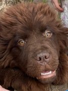 Превью фото № 248367