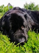 Превью фото № 248370