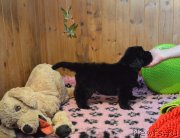 Превью фото № 248381