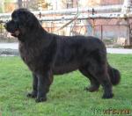 Превью фото № 24839