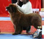 Превью фото № 24840