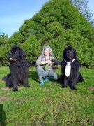 Превью фото № 248427