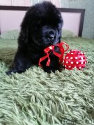 Превью фото № 248429