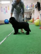 Превью фото № 248446