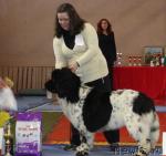 Превью фото № 24846