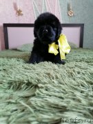 Превью фото № 248460