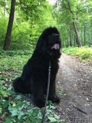 Превью фото № 248474