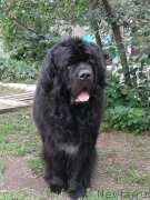 Превью фото № 248492