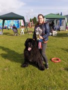 Превью фото № 248510