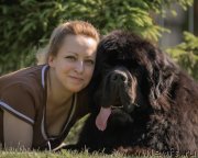 Превью фото № 248520