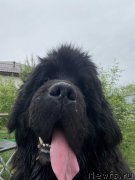 Превью фото № 248551