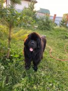 Превью фото № 248552