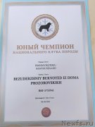 Превью фото № 248570