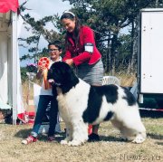 Превью фото № 248587