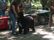 Превью фото № 248590