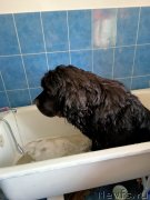 Превью фото № 248605