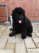 Превью фото № 248611