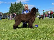 Превью фото № 248626