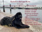 Превью фото № 248627