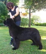 Превью фото № 248676