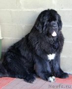 Превью фото № 248677