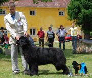 Превью фото № 248690