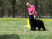 Превью фото № 248692