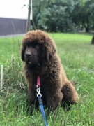 Превью фото № 248715