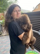 Превью фото № 248737