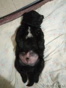 Превью фото № 248740